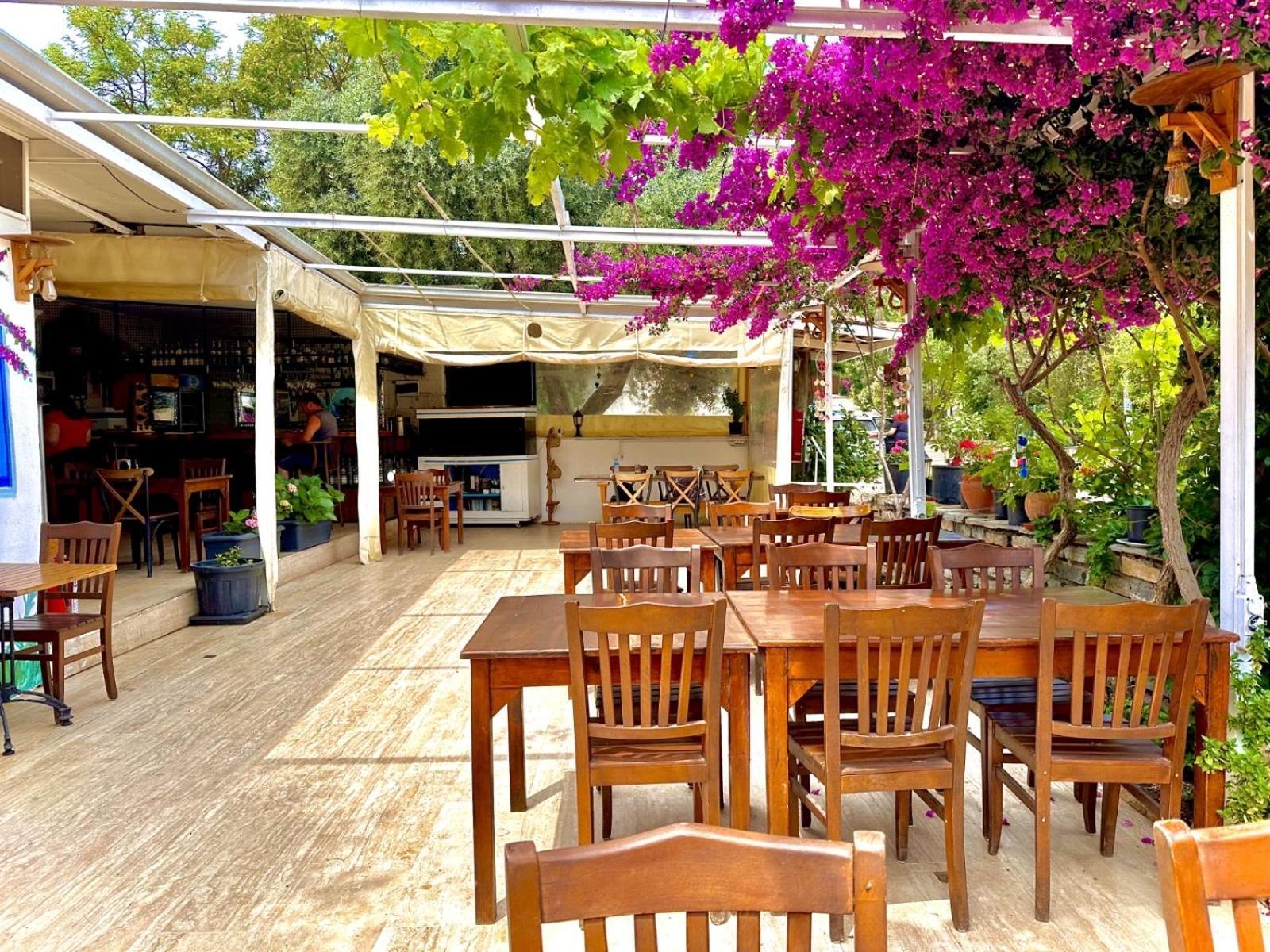 Umayra Bodrum