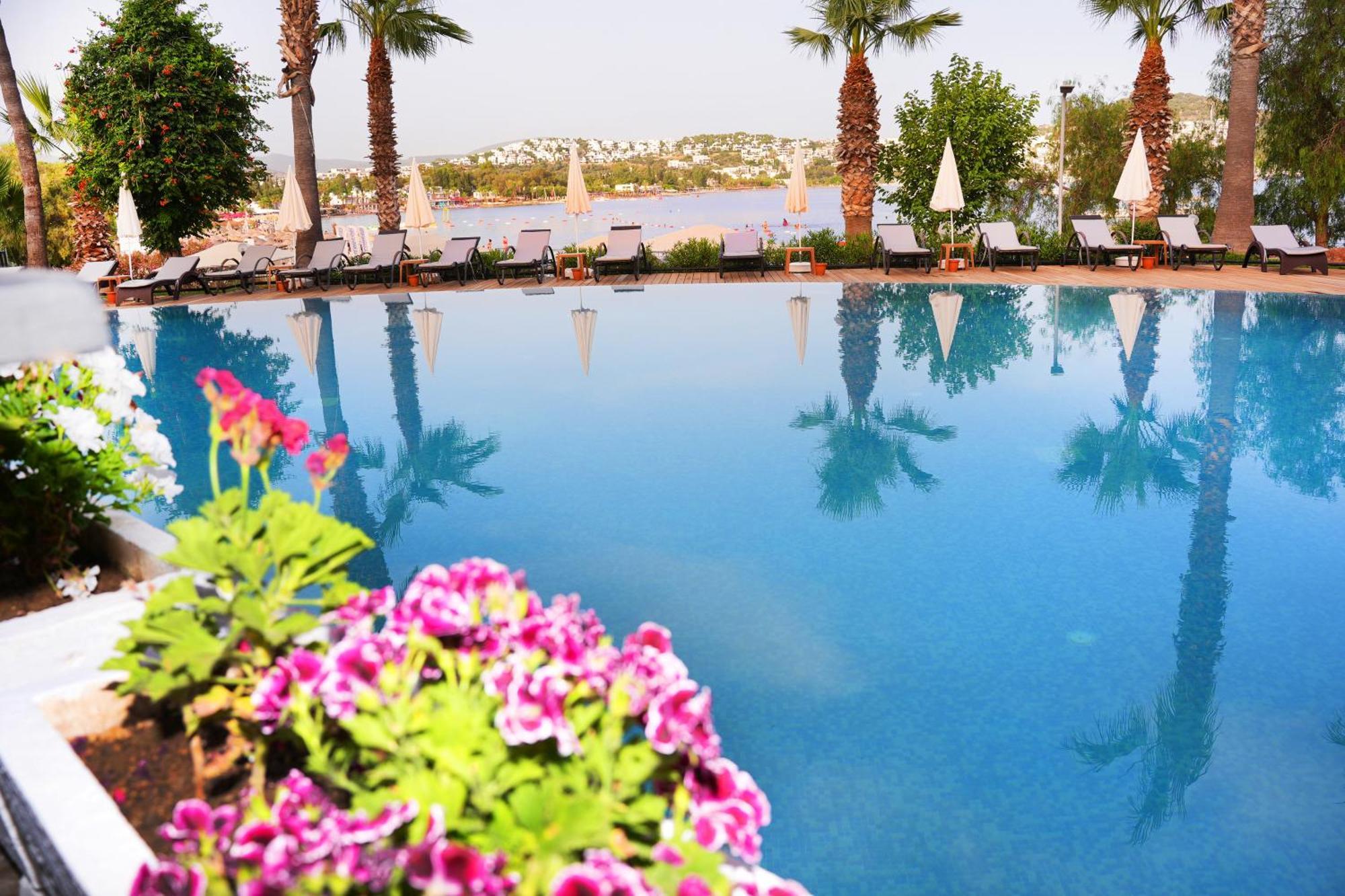 Amilla Hotel
