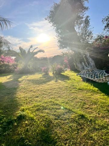 Hotel Umayra Boutique Bodrum