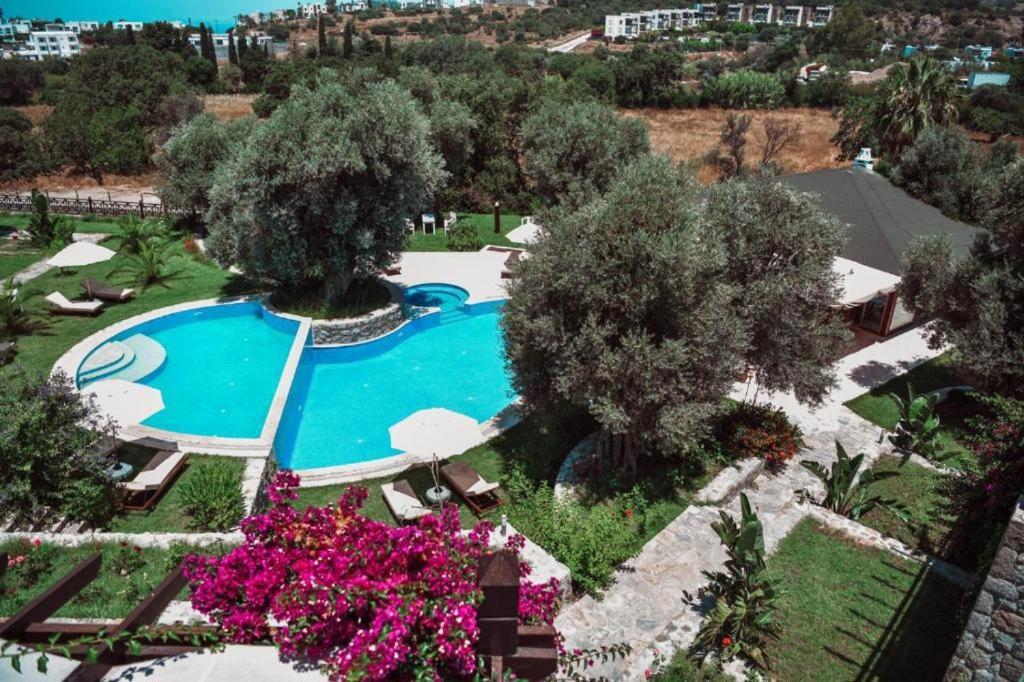 Umayra Boutique Hotel