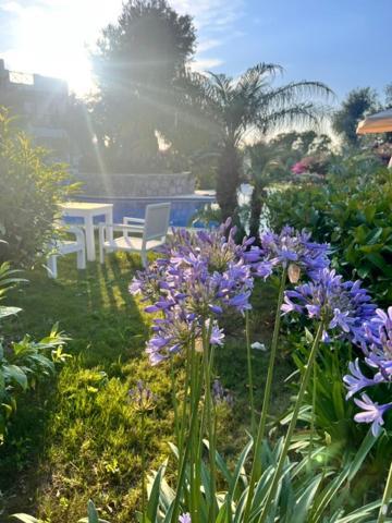 Hotel Umayra Boutique