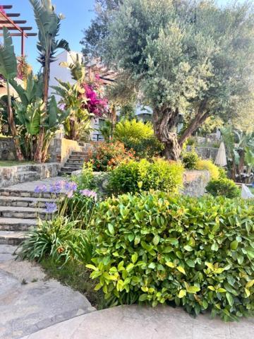 Hotel Umayra Boutique *