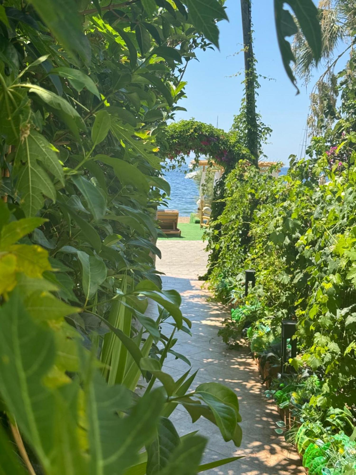 Lizbonia Hotel Bodrum