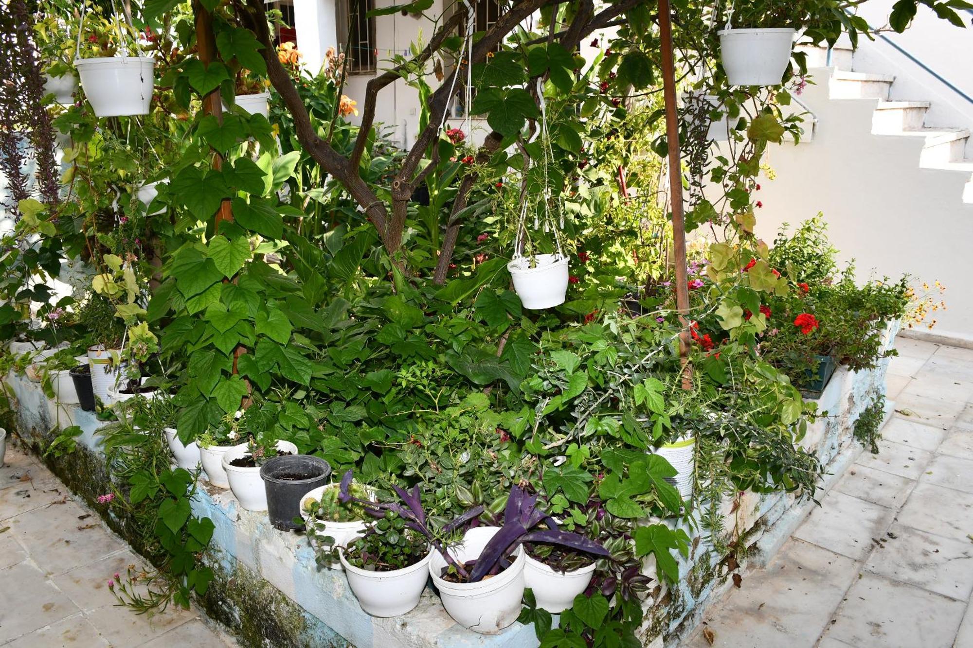Suat Butik Hotel Bodrum