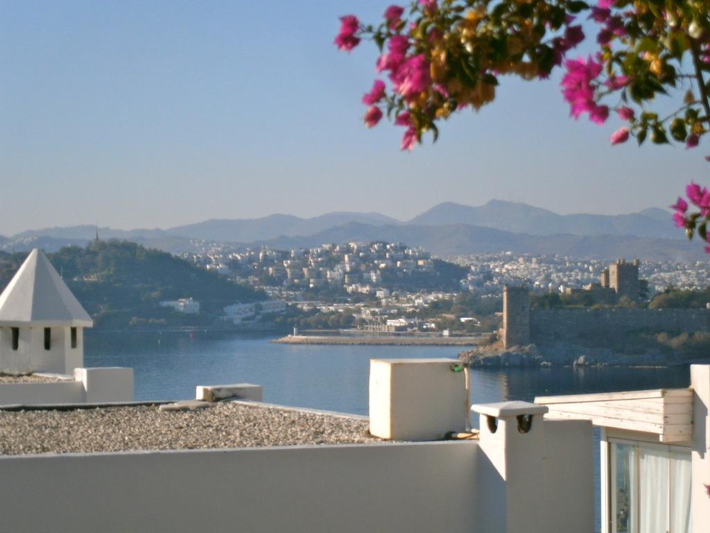 Vista Suites Apartment