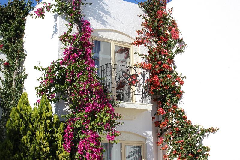Hotel Serpina (adults Only)