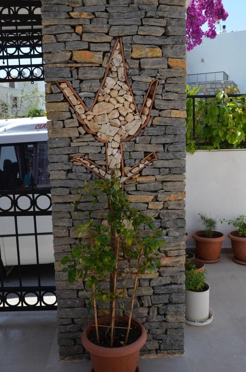 Salinas Bodrum-boutique Concept 3*