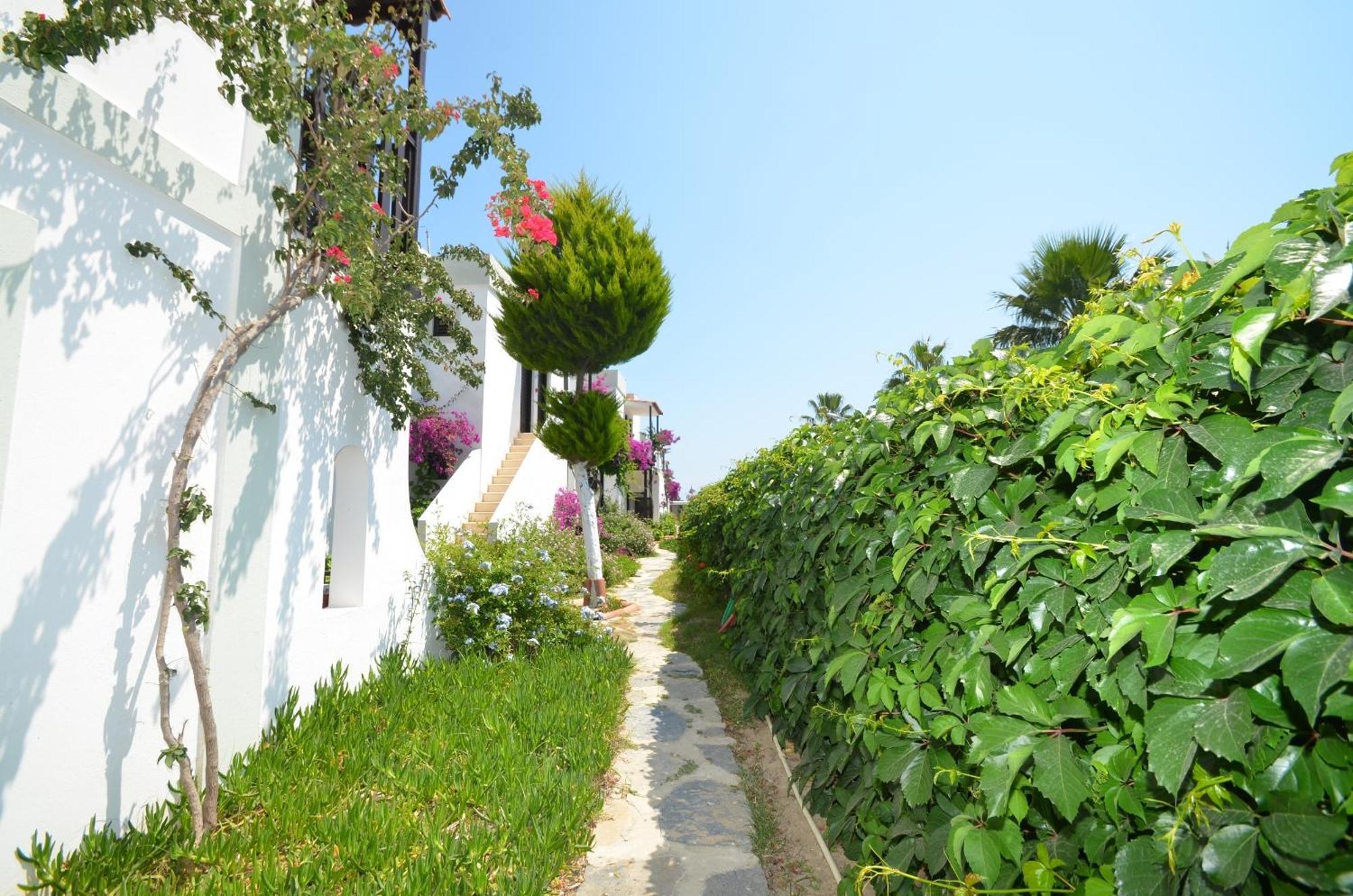 Salinas Bodrum-boutique Concept 3*