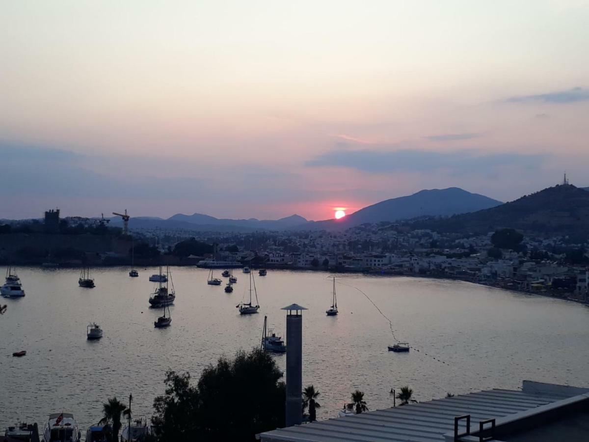 Guest house Angora 3*
