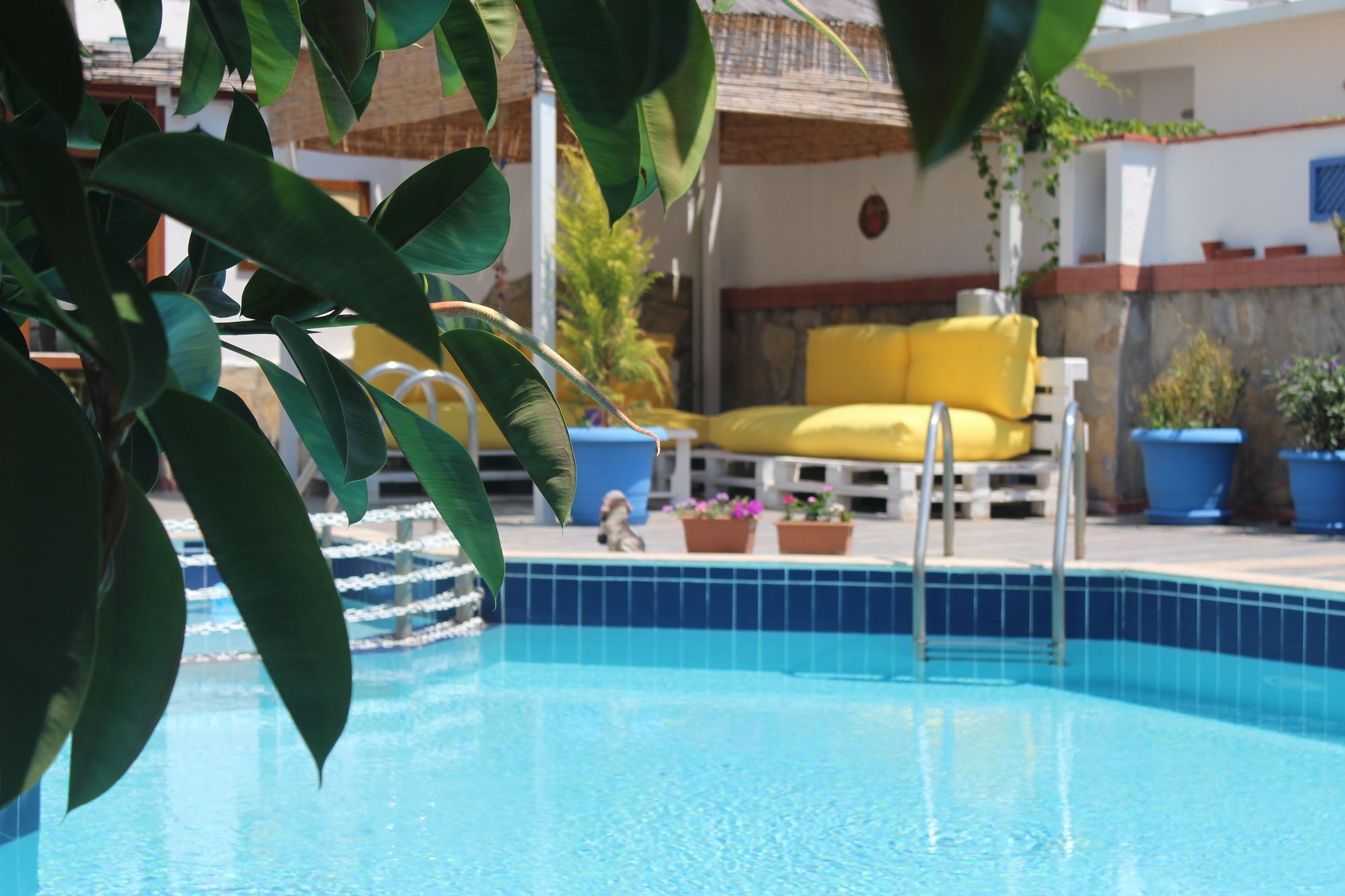 Hotel Oya Boutique And