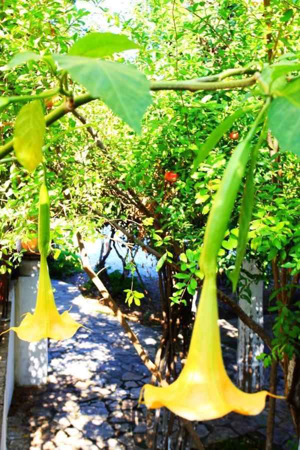 Gasthof Camlikosk Bodrum
