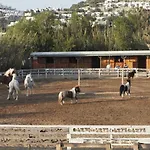 Equestrian And Beach Club