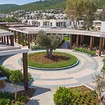 Voyage Torba