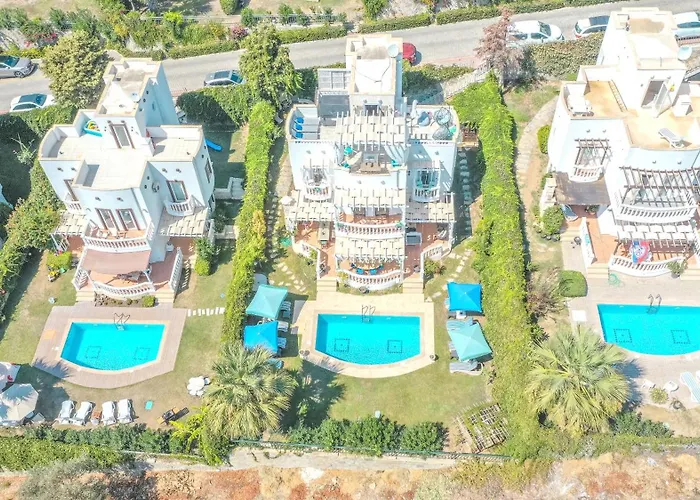Vintage Villa