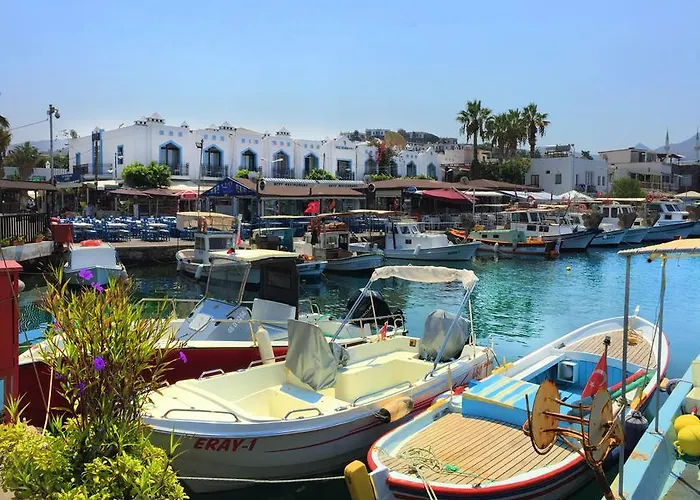Ali Baba Hotel
