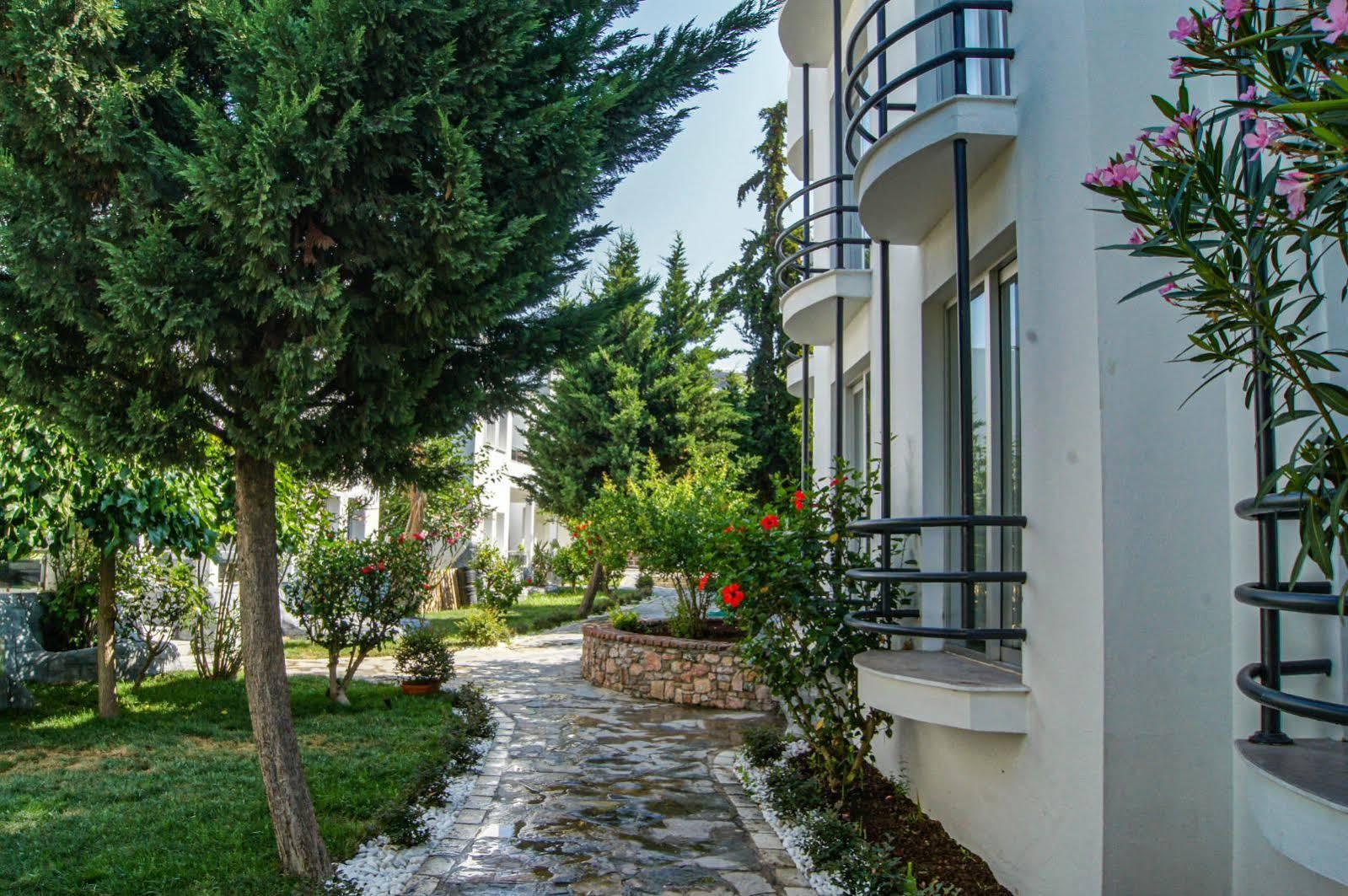 Dream Palace Hotel 3*