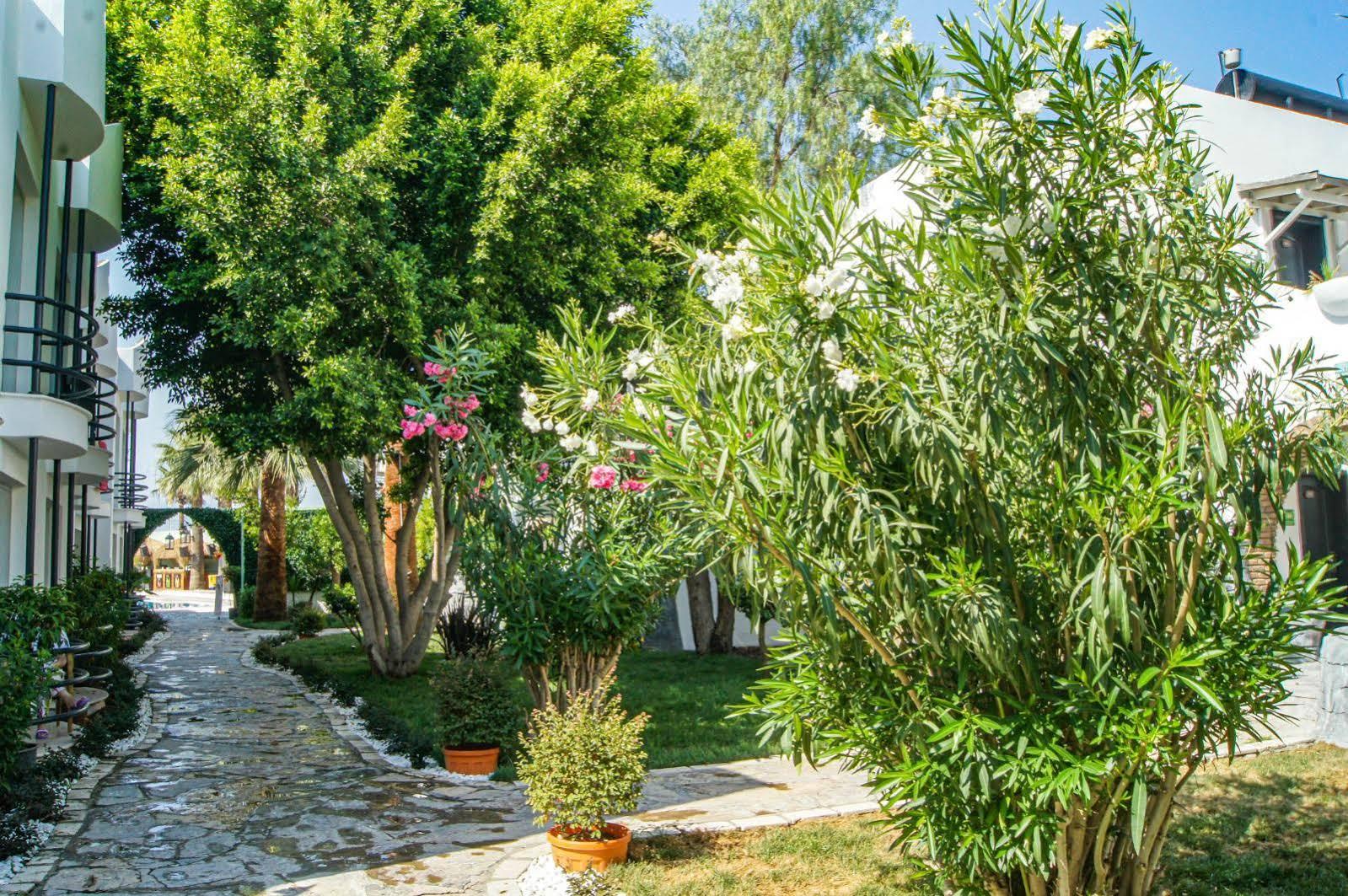 Dream Palace 3* Bodrum