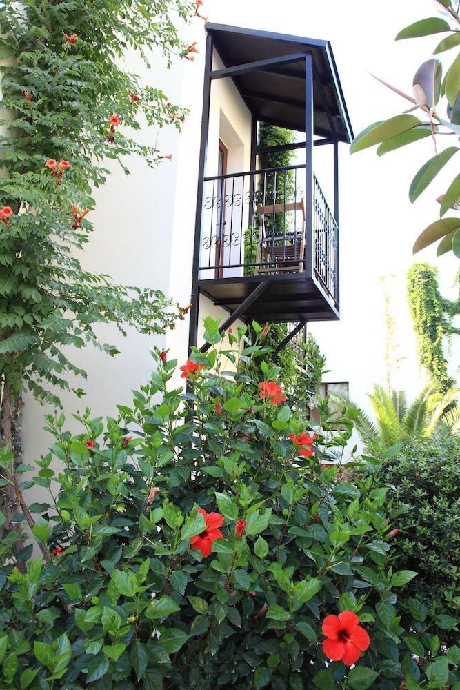 Otel Paloma 2*