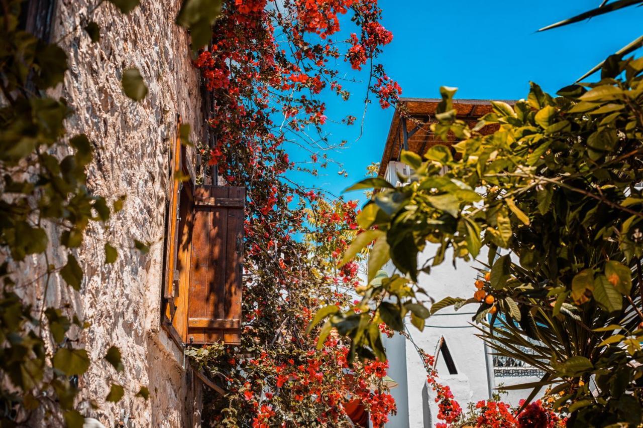Otel Taş Mori Butik 2*