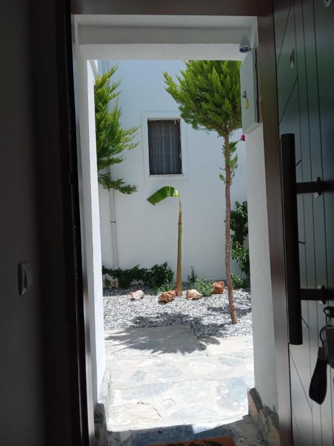 Dolphin Residences Yasemin 2