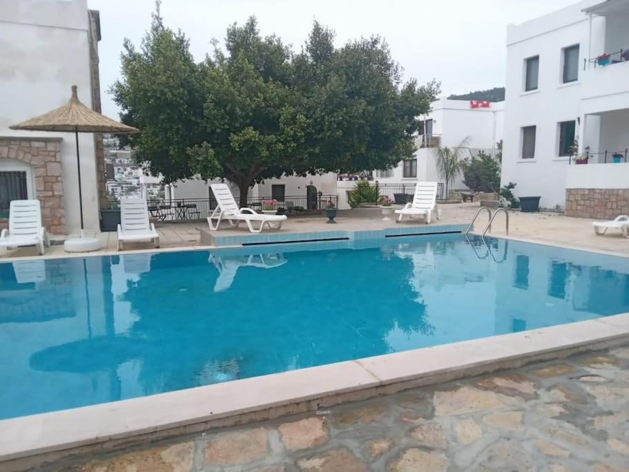 Cozy And Central With Shared Pool Near Beach In *