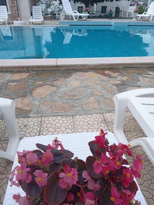 Cozy And Central With Shared Pool Near Beach In Apartment