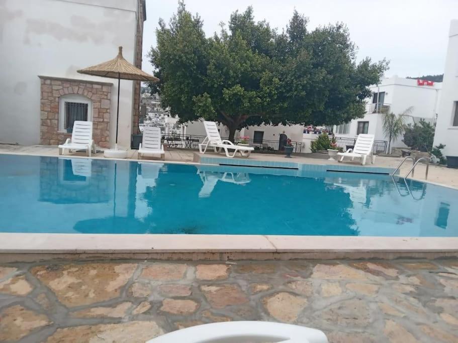 Cozy And Central With Shared Pool Near Beach In
