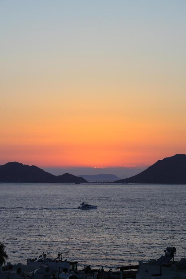 Ds * Bodrum