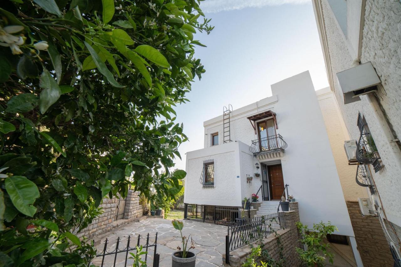 Villa Dolphin *