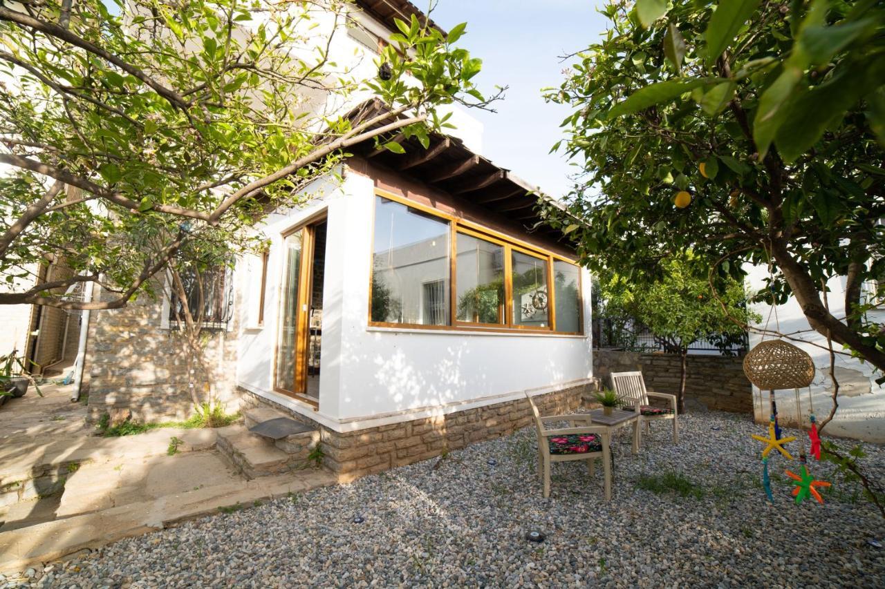 Dolphin Villa *