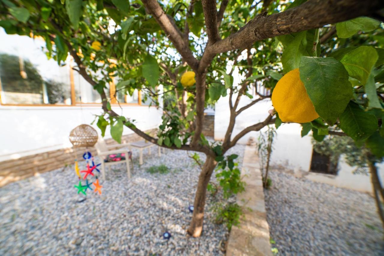 Villa Dolphin