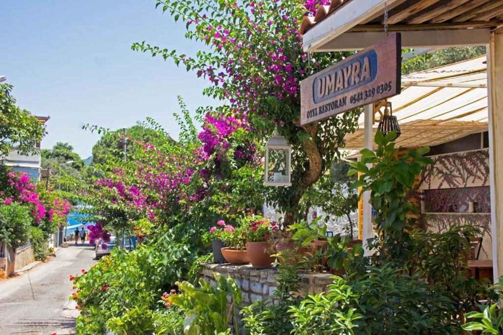 Umayra Bodrum