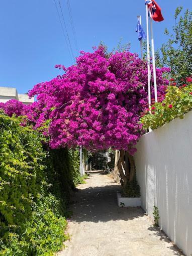 Hotel Kavala 2*