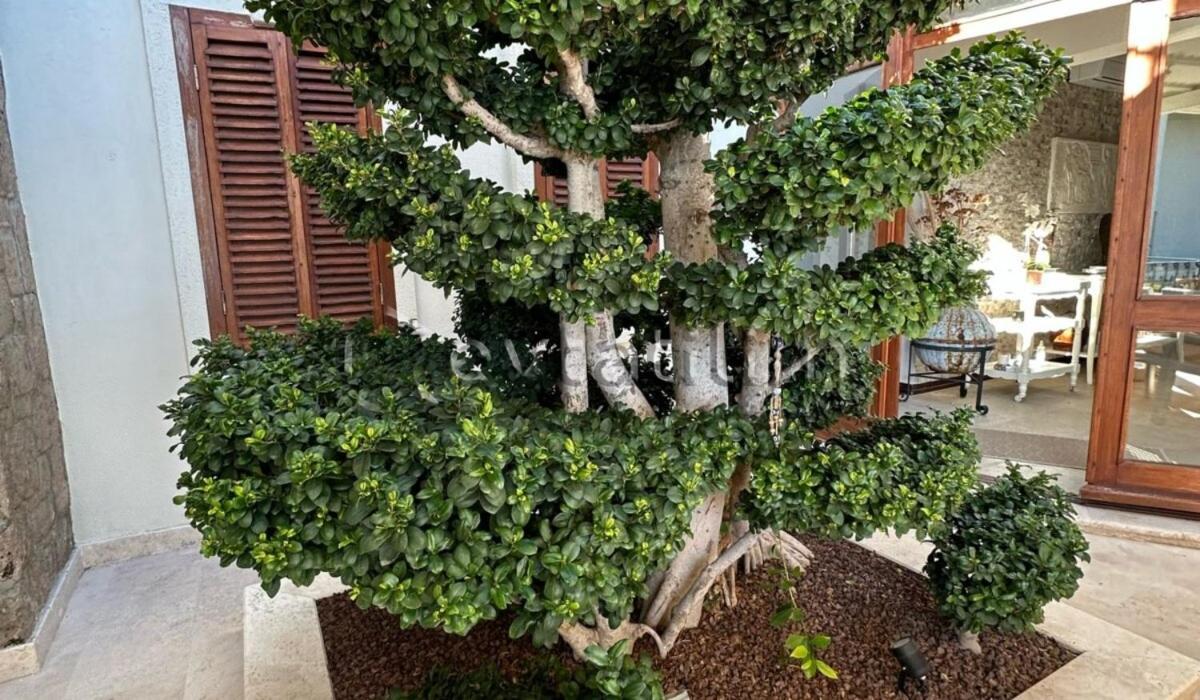Villa Dorian By Evtatilim Bodrum Bitez Guembet Pousada *