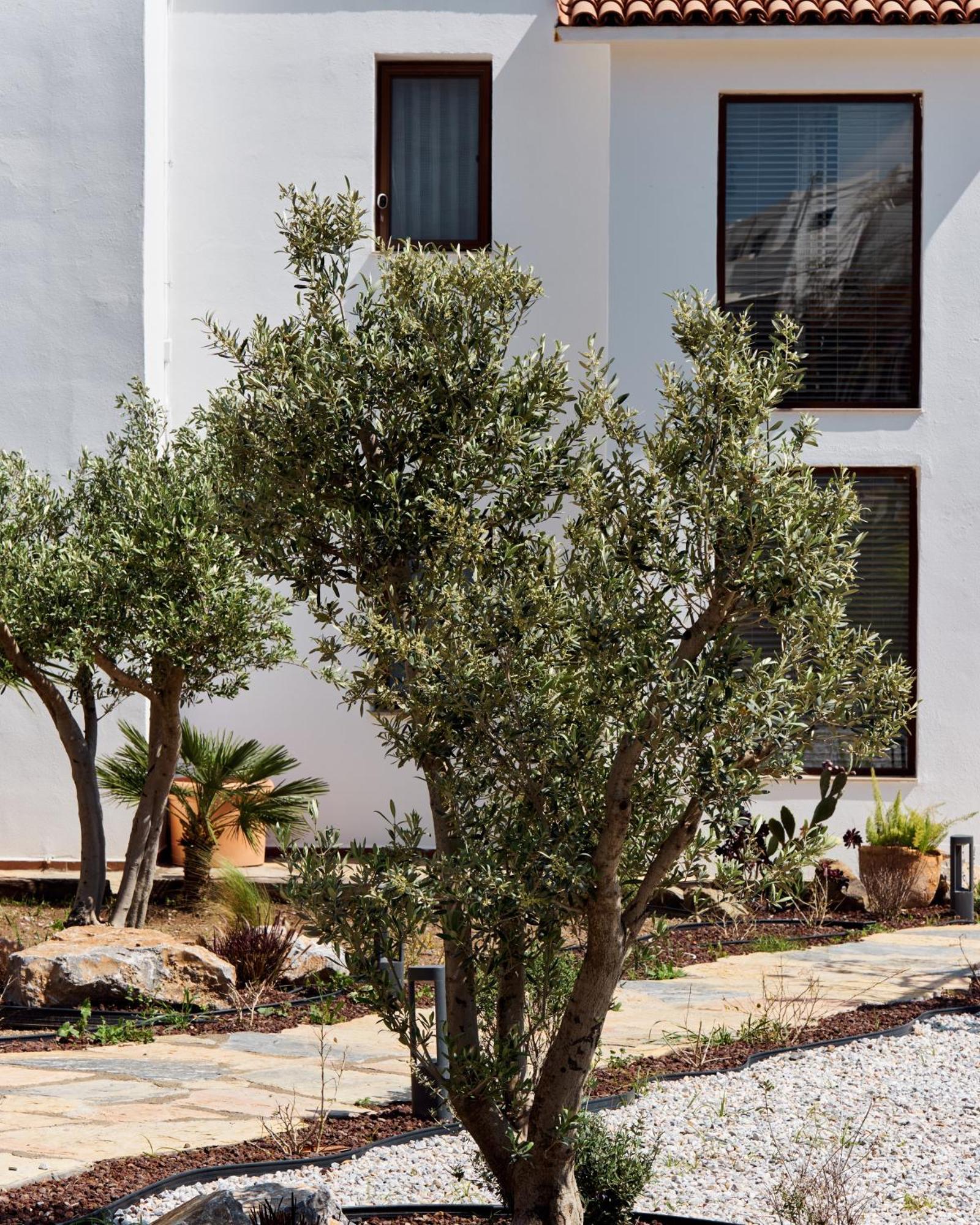 Casa Caria Aparthotel Bodrum