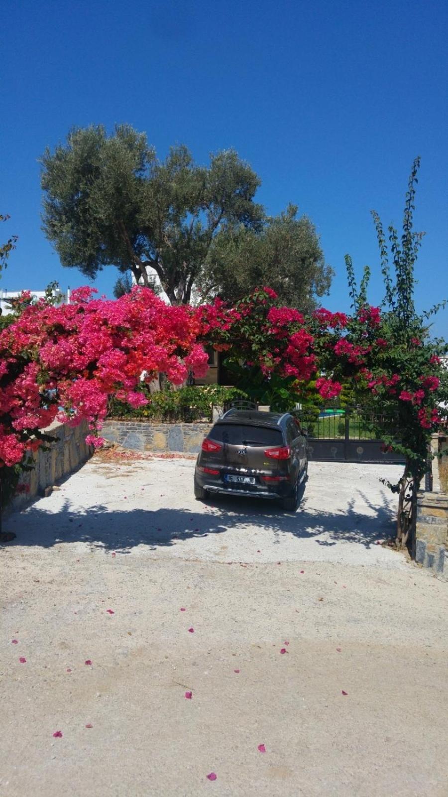 Villa Sea View Flower *