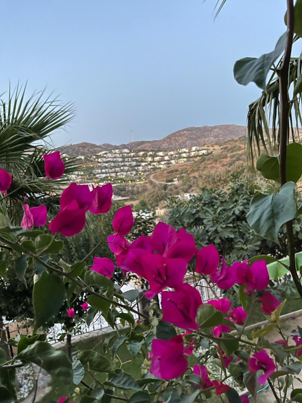Villa Sea View Flower *
