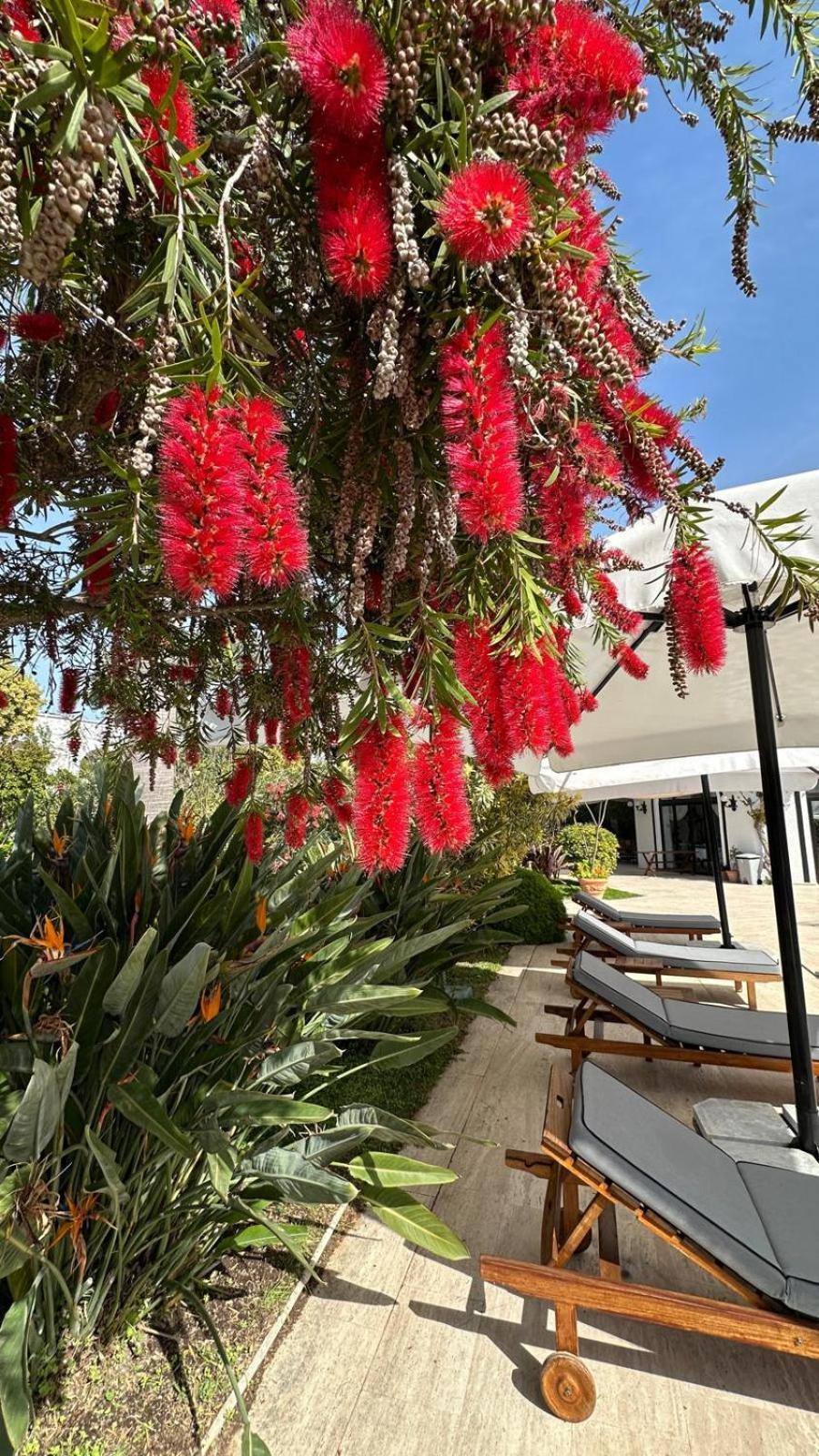 Karia Princess Hotel Bodrum