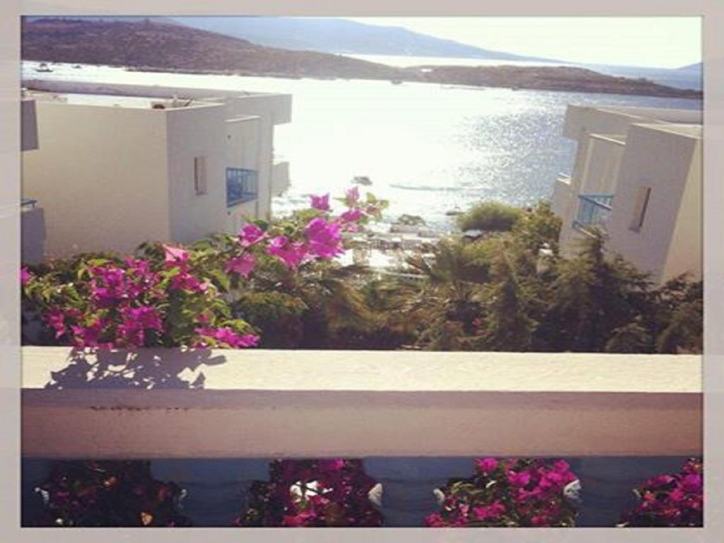 Peda Gumbet Holiday Beach Bodrum