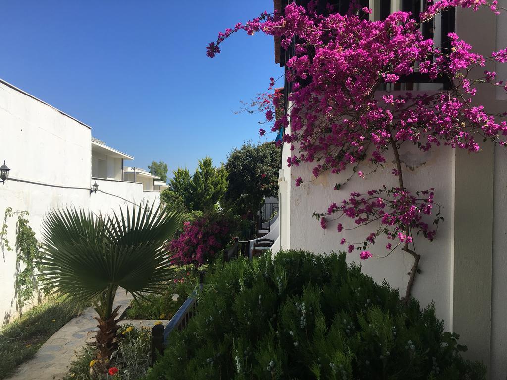 Hotel Salinas Bodrum-boutique Concept 3*