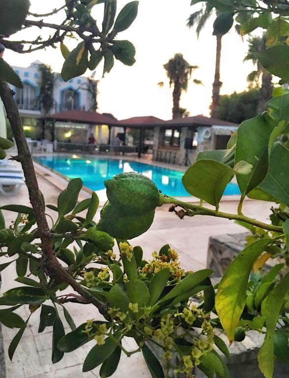 Otel Ali Baba 3*