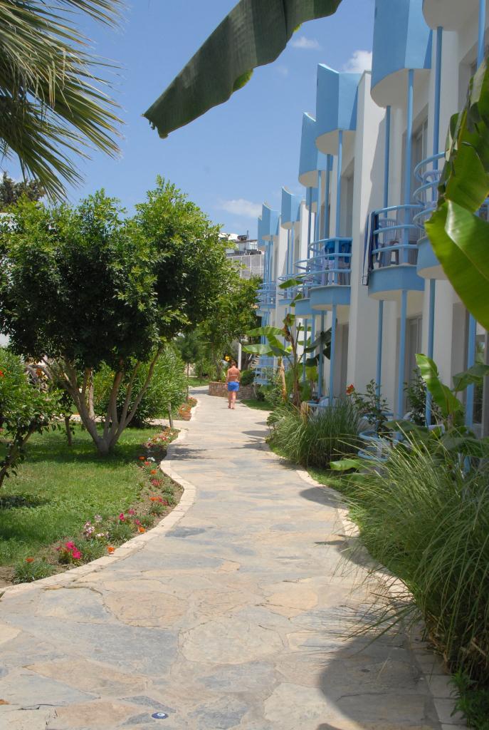 Dream Palace Hotel 3*