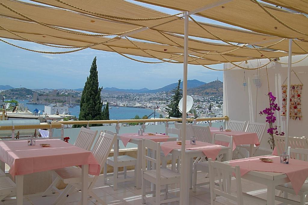 Belga Guest house *